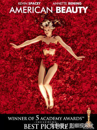 《美国丽人》汁源中年大叔无意中爱上女儿同学从此一发不可收拾