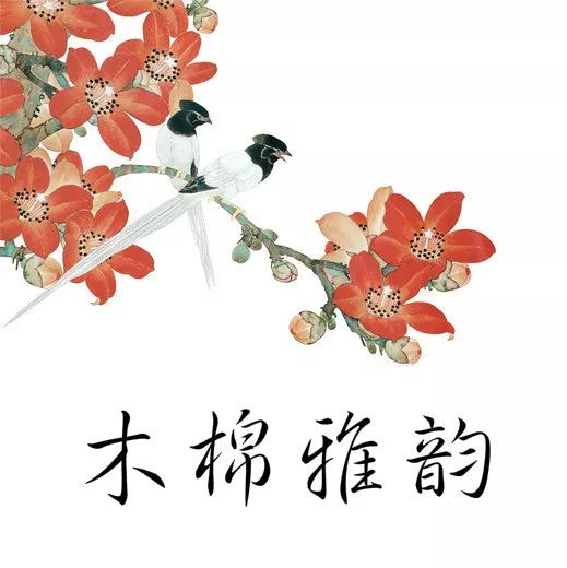 这种茶少喝!女子为治便秘连喝3年,大肠内壁全变黑了……