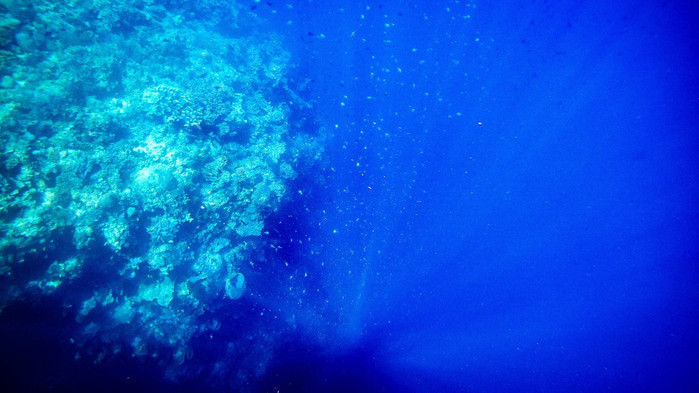 美娜多潜水圣地,印尼美娜多海豚潜水