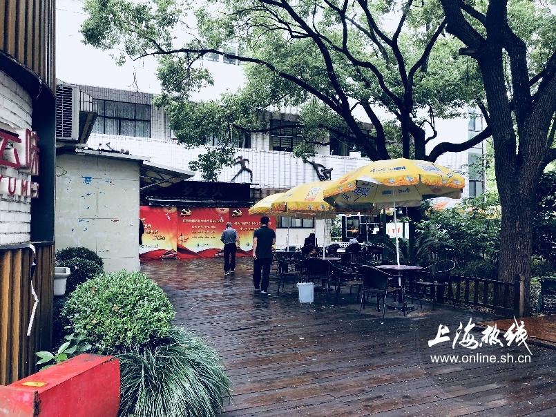 绿树成荫景色宜人清新空气,绿树成荫环境优美空气清新