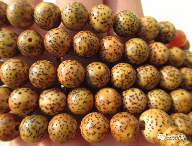 星月菩提干手盘好还是汗手盘好呢,紫金鼠和星月菩提哪个更值得盘玩