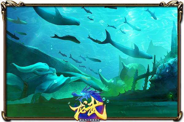 龙武今天的直播视频,龙武2019新版