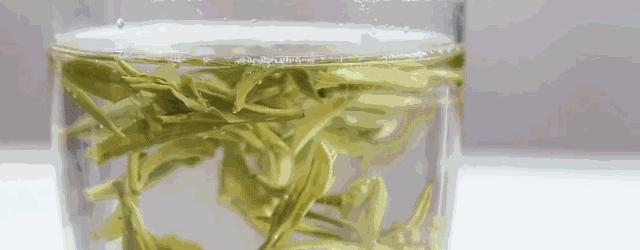 有了睫毛打底还需要睫毛膏吗,有睫毛增长液吗