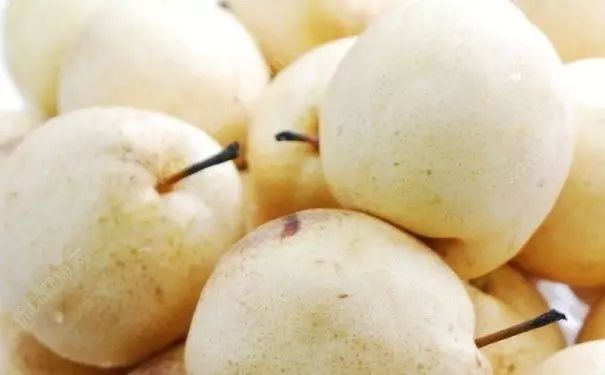 夏天养生又降火的十大食物,夏季养生食谱清热解毒汤