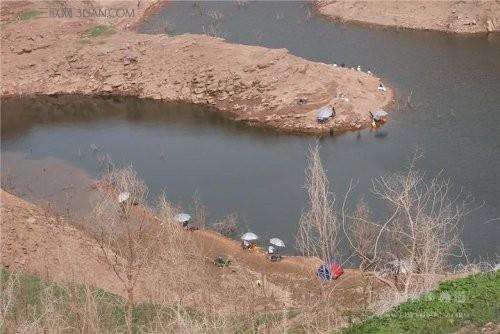 水库钓草鱼的技巧和方法,水库钓鱼用什么饵料钓鲤鱼草鱼