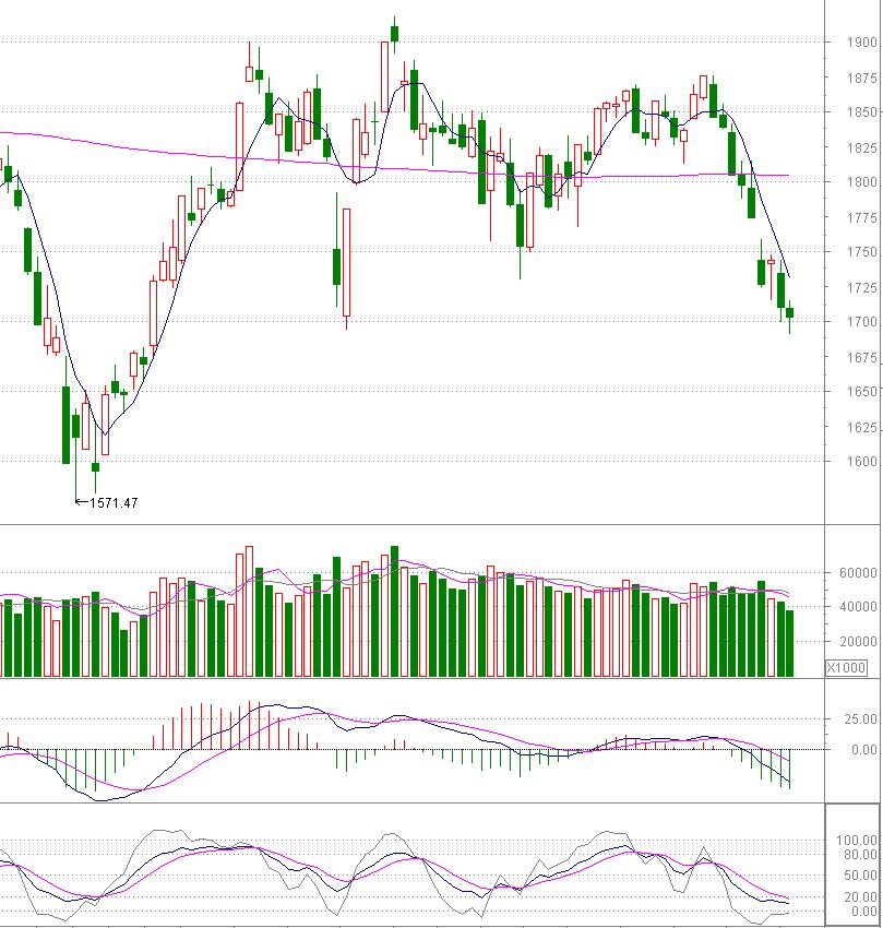 短期下跌有反弹的可能,短期内有可能迎来一波强势反弹吗