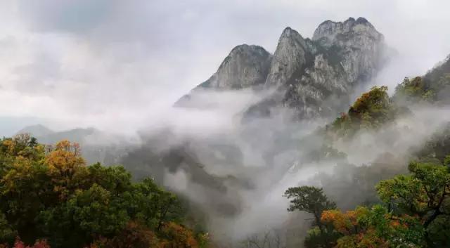 作为桐城人的骄傲,我是桐城人