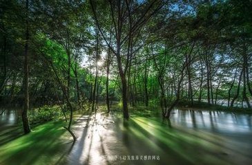 从武汉坐高铁到黄山,武汉去黄山的高铁有哪些