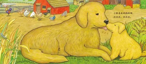 把绘本读厚,绘本3-6岁经典绘本硬壳厚本