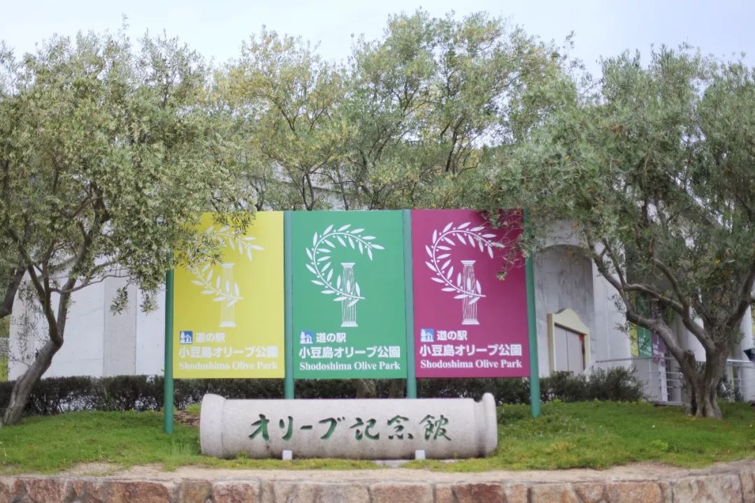 日本的这个地方，很少有中国游客，超级文艺治愈系！