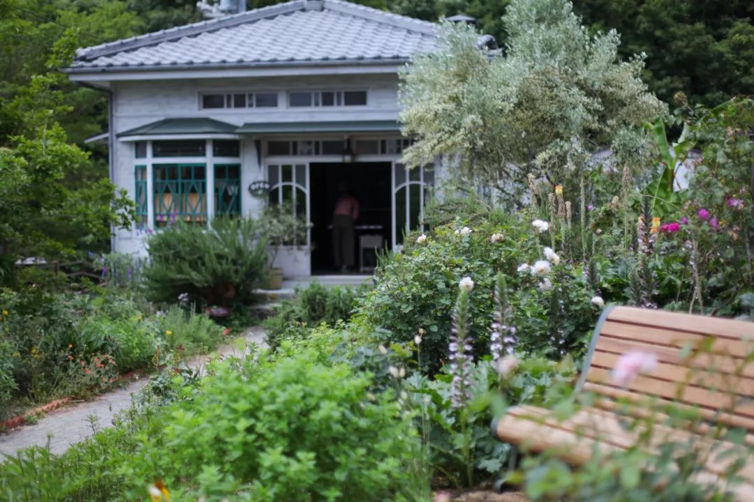 五天四晚适合去哪玩,适合五天四夜清静的旅行