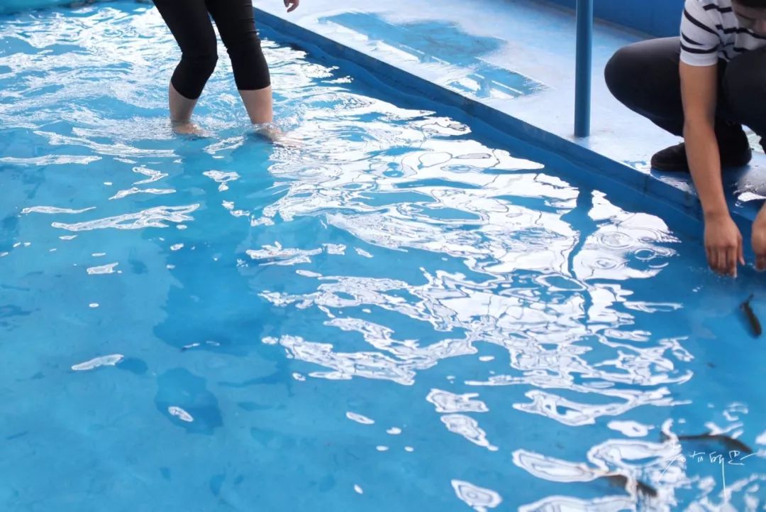 日本的哪个地方中国人不能去,日本什么地方很多中国人