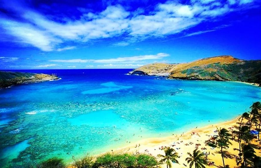 夏威夷欧胡岛北岸,夏威夷欧胡岛北岸一日游