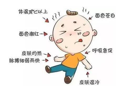 中暑了怎么办视频,中暑了怎么办最快解决方法