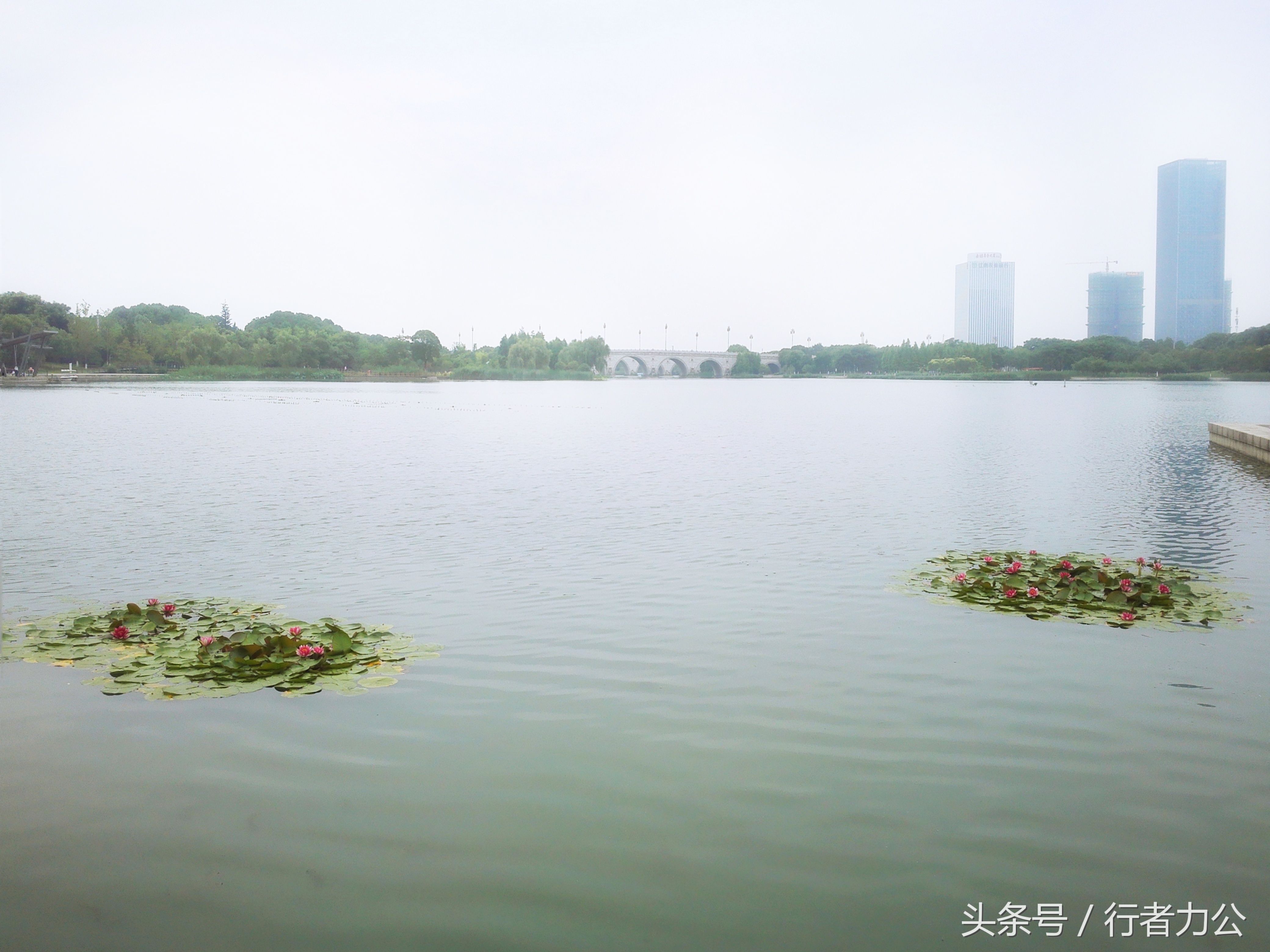 尚贤河湿地公园攻略,尚贤河湿地景点