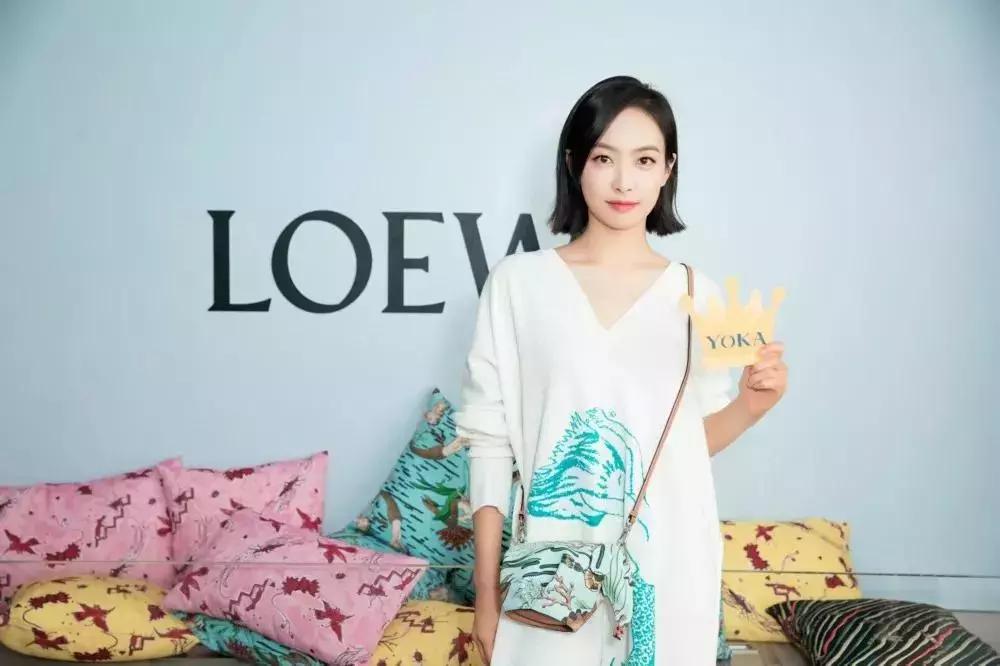 loewe同款包,loewe小象包能装吗