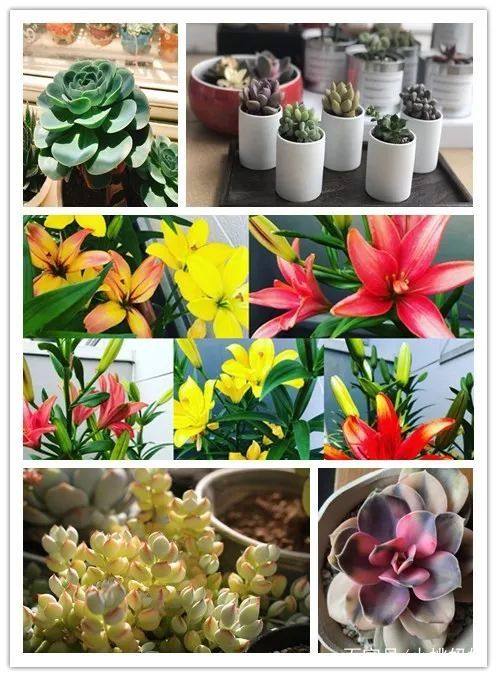 做试管婴儿究竟会不会很痛苦呢,做试管婴儿对正常女性来说痛苦吗