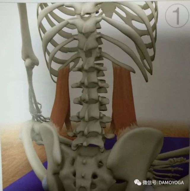 呼吸浅快的处理方法,呼吸太短太浅正确呼吸方式