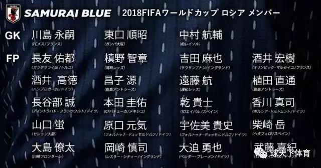 俄罗斯世界杯32强分布图,俄罗斯世界杯巴西名单