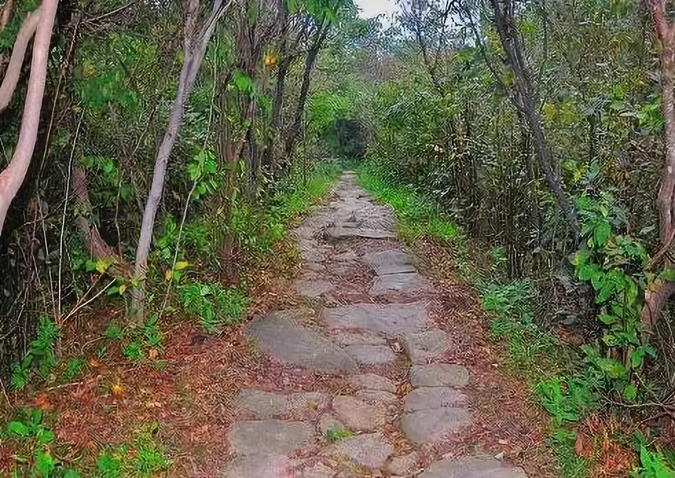 十大最美古道,2018中国十大古道评选