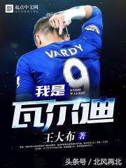 关于世界杯的足球小说推荐,好看的世界杯小说推荐