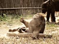 安慰自己不生气的诗,关于不要生气的诗