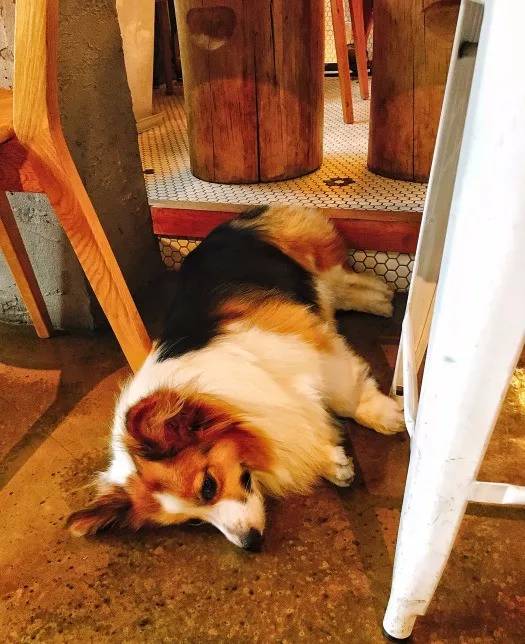 火速召唤嗦粉*党**！*疆新**米粉了解一下！