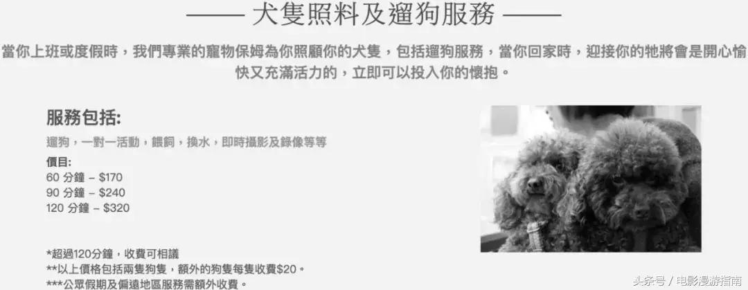 有姑娘出20w让我去香港找条狗，绑匪说：要30w——我Tony还亏了6W