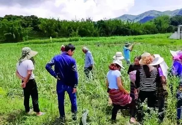 浙江坠落陨石多少钱一克,云南陨石坠落最贵一块卖多少钱