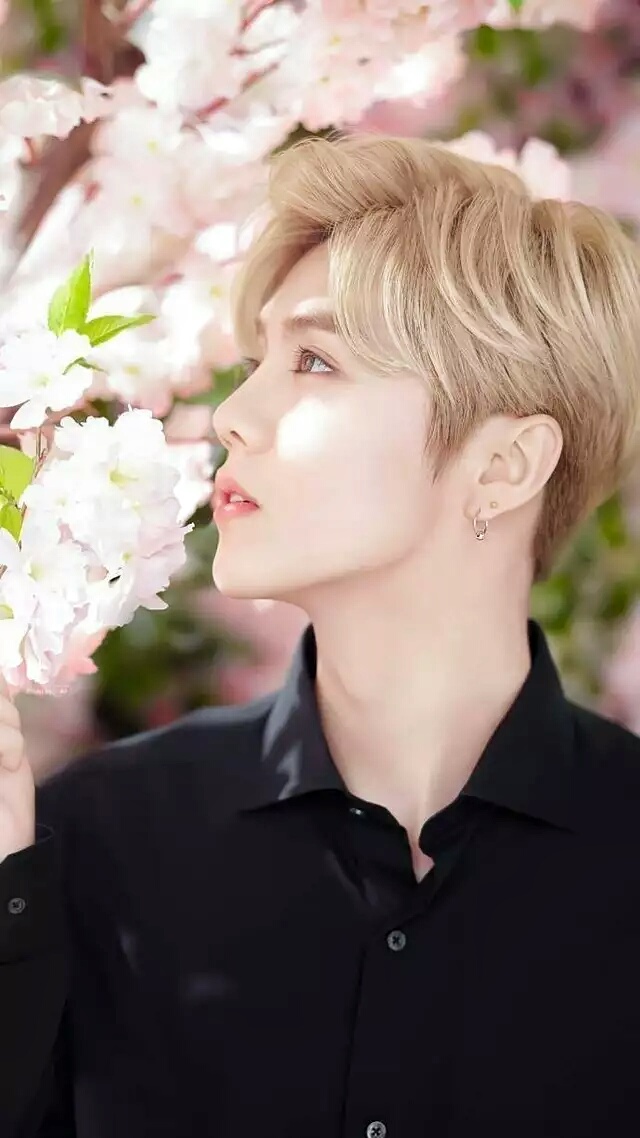 鹿晗手机壁纸主题锁屏,鹿晗壁纸全屏高清