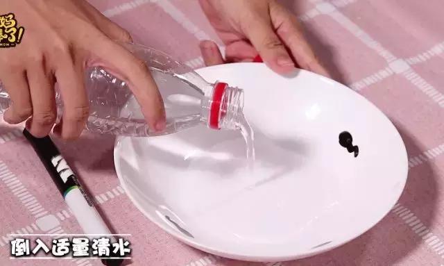 小实验蝌蚪在水里,科学小实验小蝌蚪变青蛙的全过程