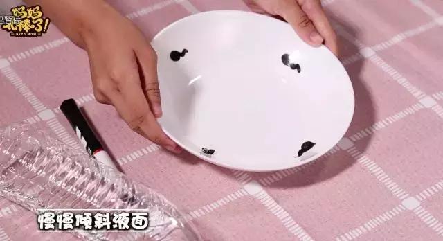 科学小实验小蝌蚪变青蛙的全过程,实验小蝌蚪从水里漂起来