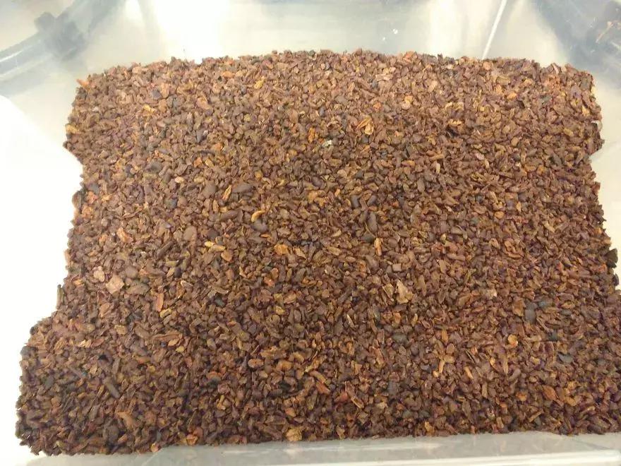 巧克力是怎么发明的视频,科普巧克力是怎么诞生的纪录片