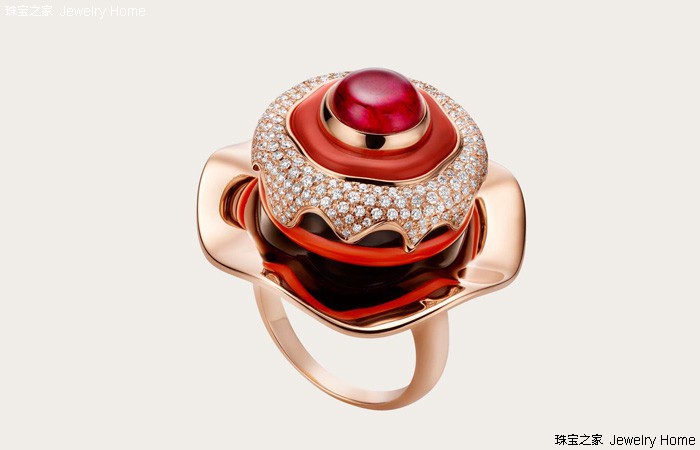 红珊瑚和阿卡沙丁哪个好,阿卡沙丁momo区别