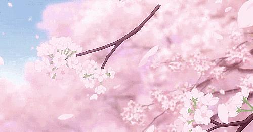 很香又好用的洗发水推荐,好用并且很香的洗发水推荐