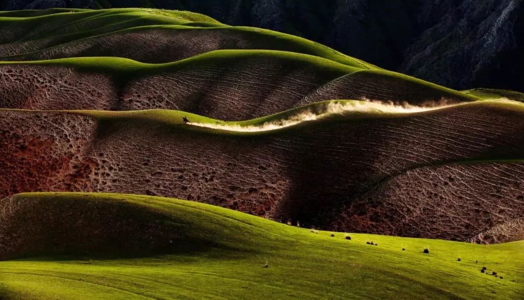 现在国内旅游最值得去的草原 (一生要去的草原呼伦贝尔大草原)