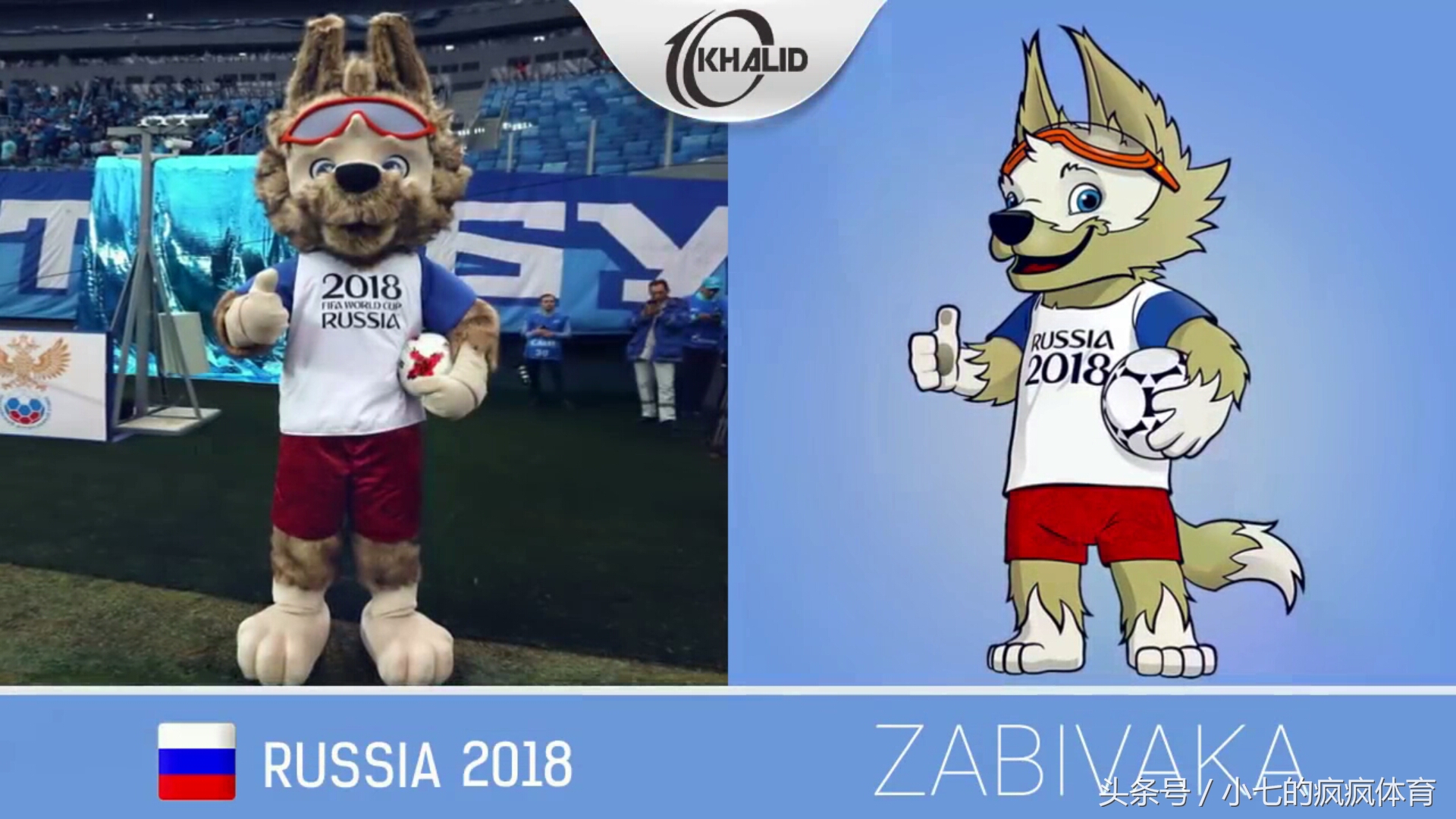 了解世界杯吉祥物,世界杯吉祥物是什么动物