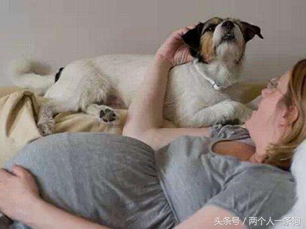 养狗给孕妇带来哪些危害,孕妇能养狗吗有啥危害