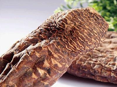 肉苁蓉能益精填髓吗,中医讲肉苁蓉功效视频