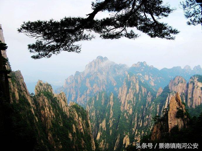 游记｜雾中黄山做梦都想去的人间仙境