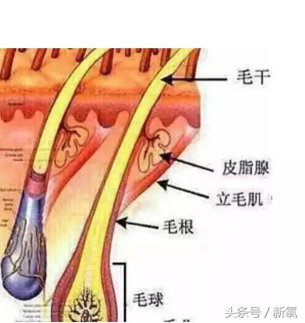 睫毛增长液排雷,睫毛增长液是不是前半瓶有效果