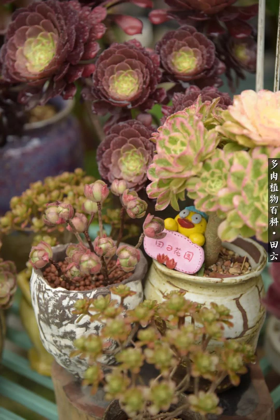 推开世界的门和自己和解,推开世界的门你所看到的风景