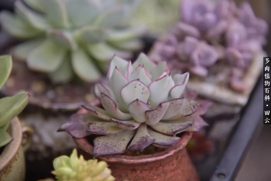 推开世界的门和自己和解,推开世界的门你所看到的风景