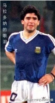 李文娟国画,李文娟湖北