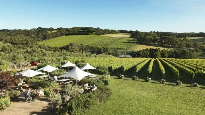 “新晋男友”李现代言的这个南半球网红城市，6月往返只需¥3000