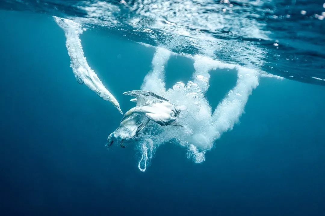 玩客说丨这里有一张东方“海盗”的藏宝图