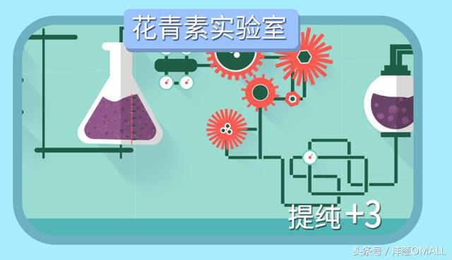 洋葱omall上买东西靠谱吗,美白葡萄籽测评推荐