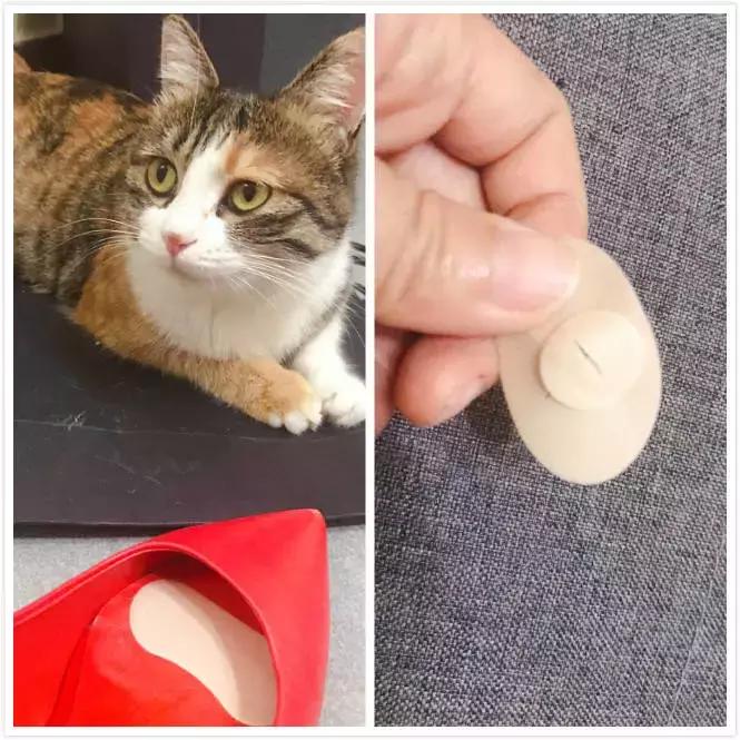 九款续命磨脚贴真人测评，最后赢的竟然是国货！