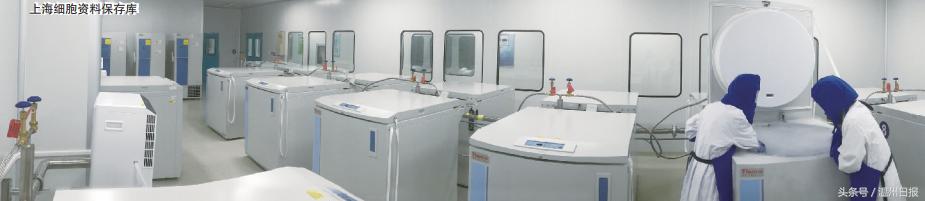 免疫系统可以对抗肿瘤细胞吗,利用免疫细胞治疗癌症