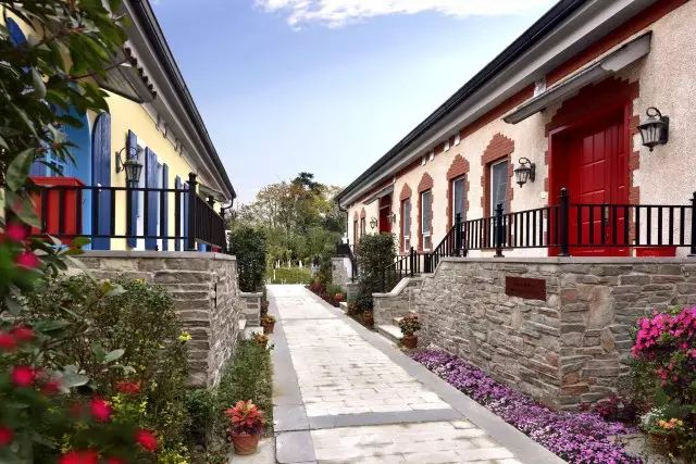 绵阳50元包吃住的民宿,绵阳禅茶清谷民宿哪家好